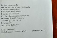IMG_20200411_104513